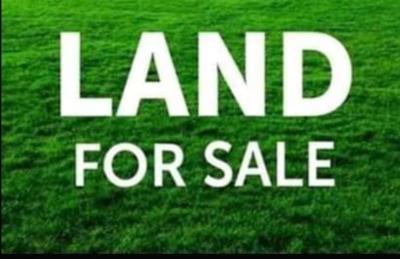 Able global land survey and property management
