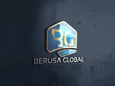 Berusa Global Limited
