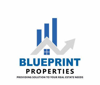 Blueprint Properties