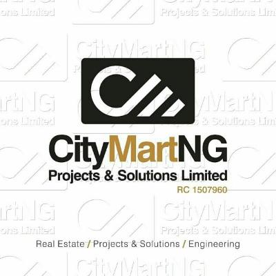 CitymattNG Projects & Solutions Limited