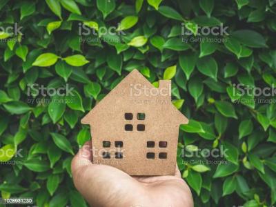 D green homes and property