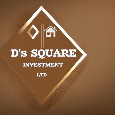 D's square investment ltd