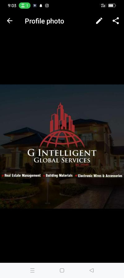 Gintelligent global service