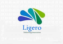 Ligero Homes & Properties
