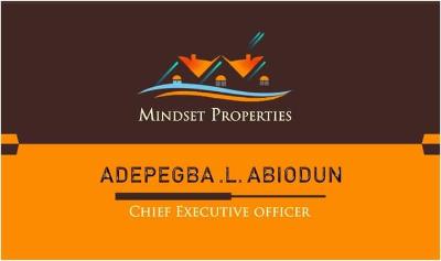 Mindset properties