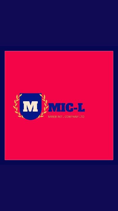 Mireb int’t company Ltd