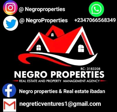 NEGRO PROPERTY COMPANY