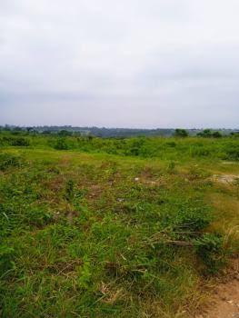 Noble K Properties and Investments