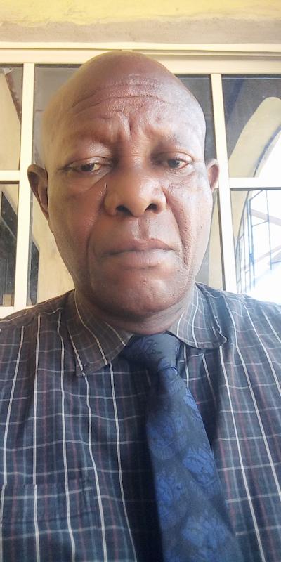 Olu Ajao Real Estate Consultant