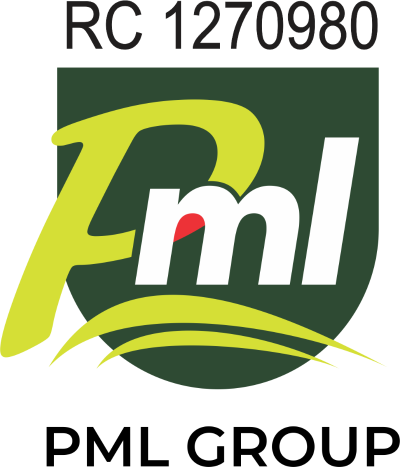 Peniel Metropolitan Limited