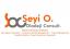 Seyi Oladeji & Co