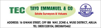 Tayo Emmanuel And Co