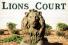 Three Lions Court Enterprise