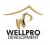 Wellpro Development