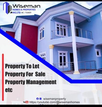 WISEMAN HOMES AND PROPERTIES NIG LTD