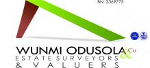 Wunmi Odusola & Co